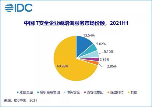 IDC報告 2021上半年中國網絡安全服務市場規模翻倍增長，網絡與信息安全軟件開發迎來新機遇